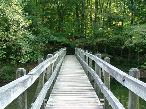 Summer Bridge.